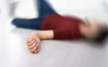 Modafinil and Seizures